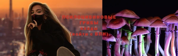 гашик Алзамай