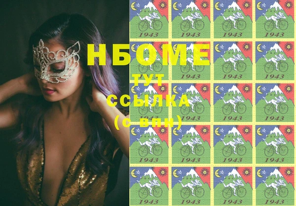 твердый Тайга