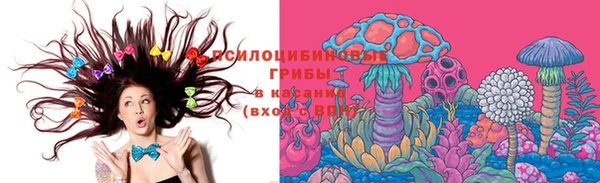 дмт Абинск