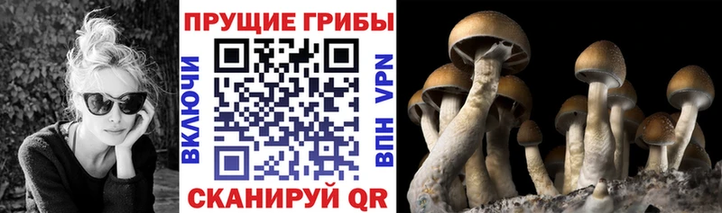 Галлюциногенные грибы мицелий  Юрга 