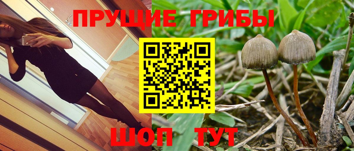 Галлюциногенные грибы Magic Shrooms  Вход с VPN  Юрга  Галлюциногенные грибы GOLDEN TEACHER 