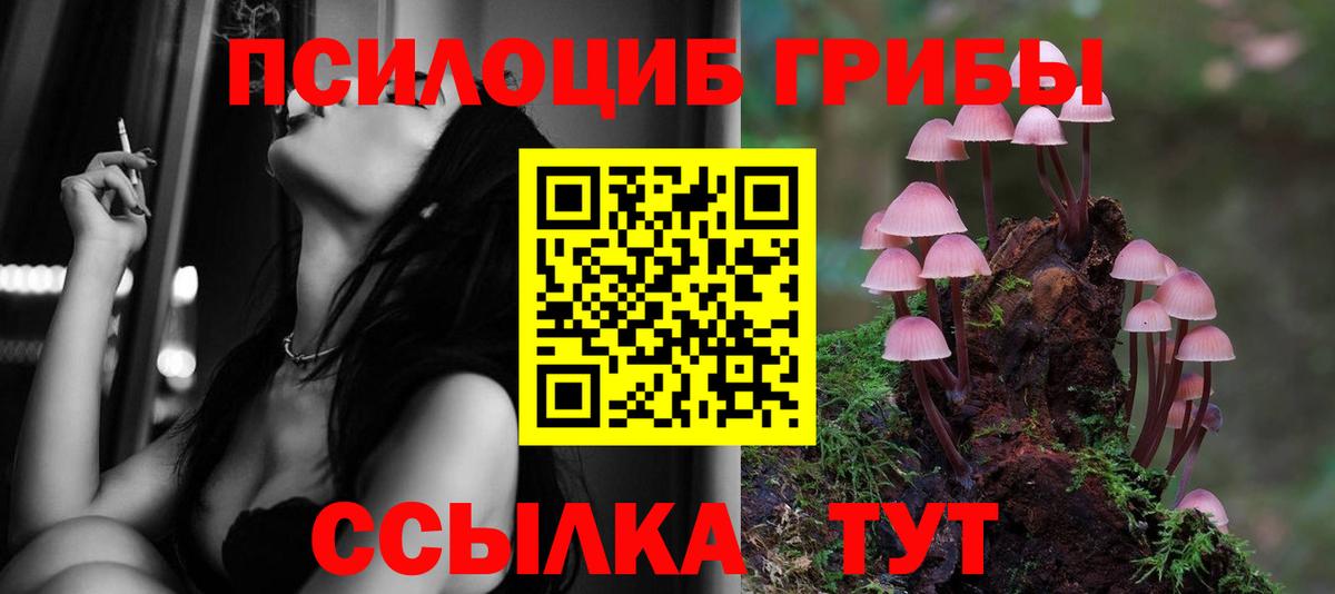 Псилоцибиновые грибы прущие грибы Юрга