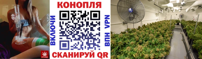 Конопля THC 21% Юрга